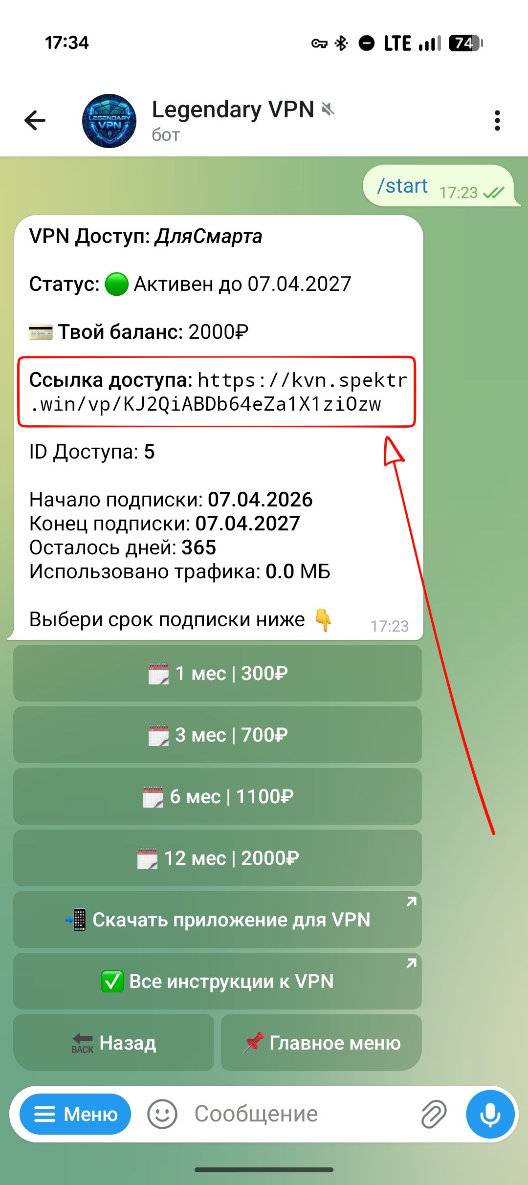 Карточка активного VPN-доступа со ссылкой доступа