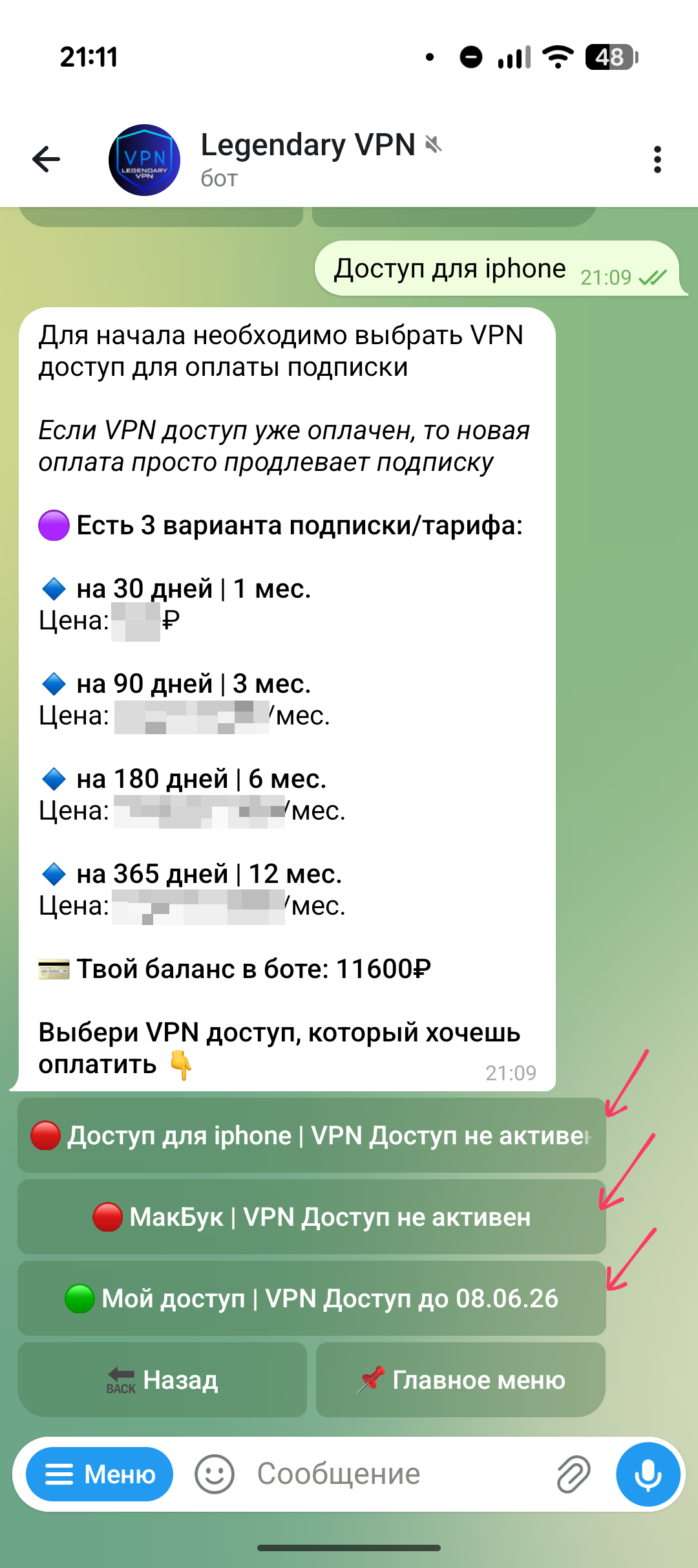 Экран выбора VPN-доступа для оплаты