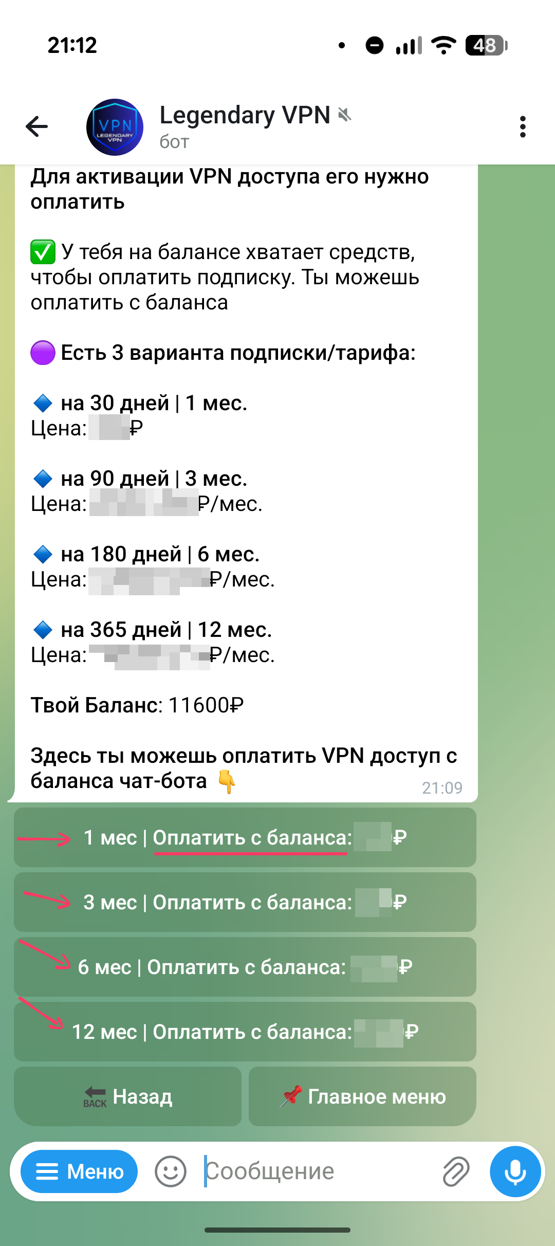 Экран выбора периода оплаты VPN-доступа